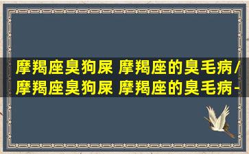 摩羯座臭狗屎 摩羯座的臭毛病/摩羯座臭狗屎 摩羯座的臭毛病-我的网站